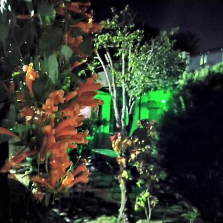 Last Chance Cafe And Guest House Rishikesh Exterior photo